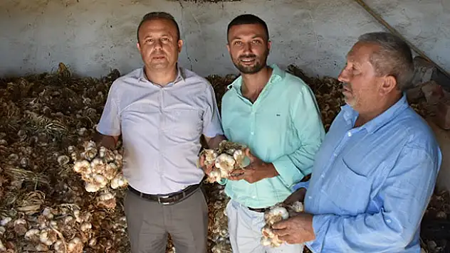 Aksaray'dan yurt dışına sarımsak ihracatı yapılacak