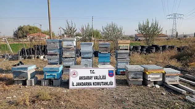 Aksaray'da çalınan arı kovanları Nevşehir'de bulundu
