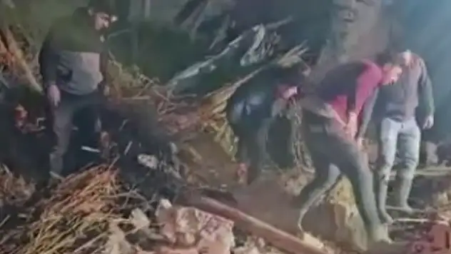 Aksaray'da mandıra çöktü, çok sayıda hayvan telef oldu