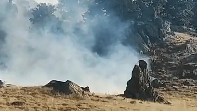 Aksaray'da orman yangını