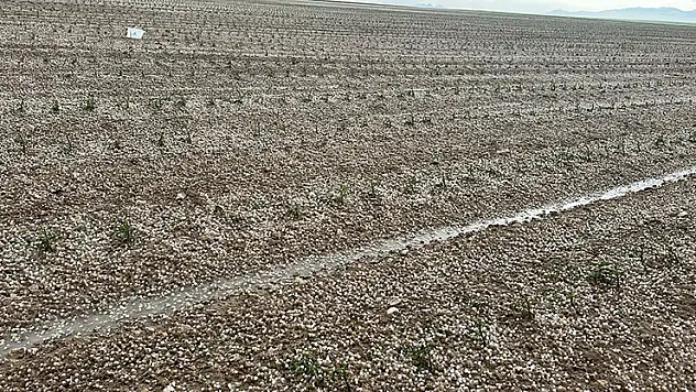 Aksaray'da sağanak ve dolu tarım arazilerini vurdu