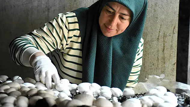 Aksaraylı kadın girişimci devlet desteğiyle atıl arazisini tarıma kazandırdı