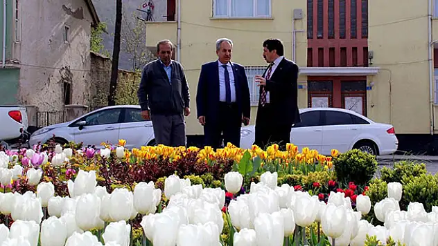 Akşehir açan çiçeklerle renklendi