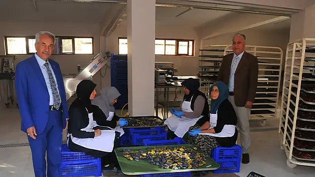 Akşehir Belediye Başkanı Akkaya, meyve kurutma tesisini ziyaret etti
