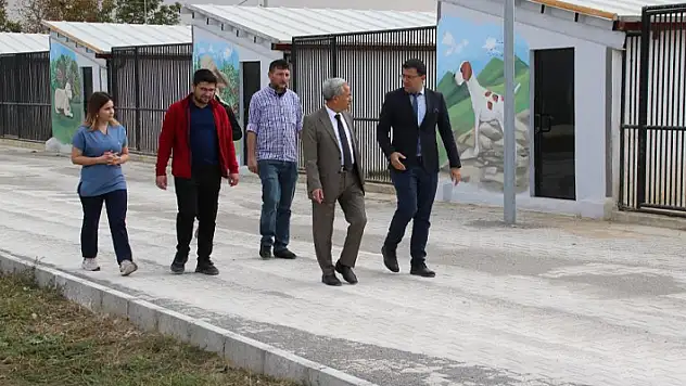 Akşehir Belediye Başkanı Akkaya: Sokak hayvanları için çözüm odaklı adımlar atıyoruz
