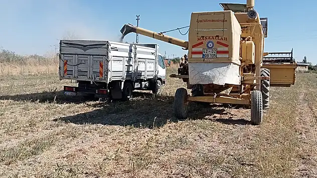 Akşehir Belediyesi atıl arazilerde tarıma başladı
