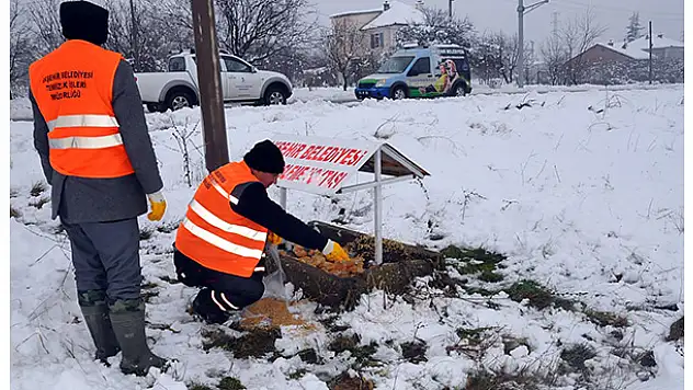 Akşehir Belediyesi hayvanları unutmadı