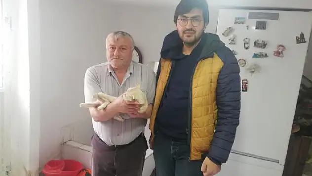Akşehir Belediyesi sahipli hayvanlar için de kısırlaştırma hizmetine devam ediyor
