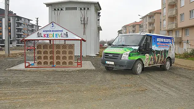 Akşehir Belediyesinden 'Kedi Evi' projesi