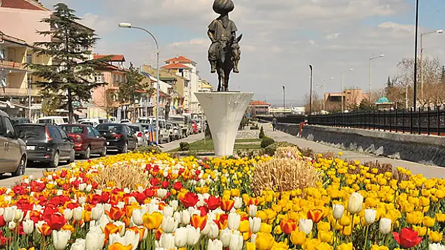 Akşehir çiçeklere büründü