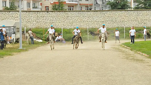 Akşehir'de eşekler birincilik için yarıştı

