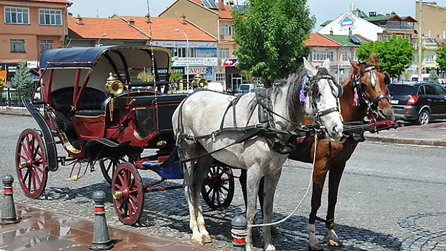 Akşehir'de fayton seferleri başladı