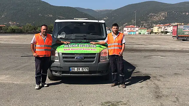 Akşehir'de kurban yakalama timi oluşturuldu