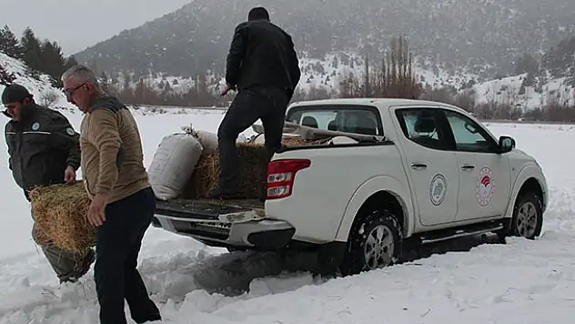 Akşehir'de yabani hayvanlar için doğaya yem bırakıldı