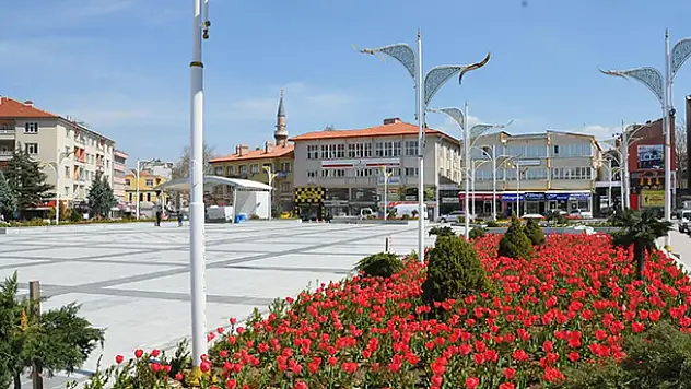 Akşehir lalelerle renklendi