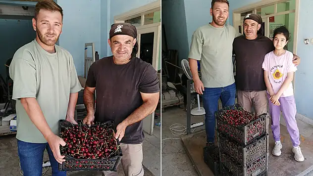 Akşehir'de ilk kiraz hasat edildi