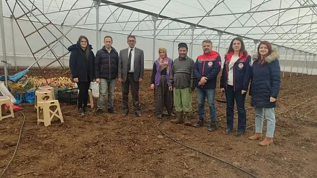 Akşehir'de seracılık desteklerle büyüyor