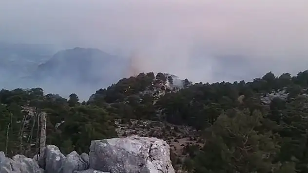 Akseki yangının şüphelisi, 20 hektar ormanın yandığı Manavgat - Konya yolundaki yangının da şüphelisi çıktı
