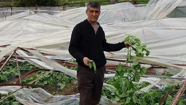 Alanya'da hortum 250 dönümden fazla seraya zarar verdi
