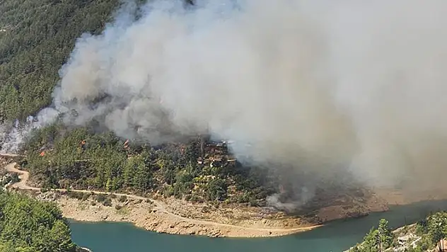 Alanya'da orman yangını çıktı
