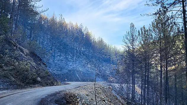 Alanya'daki orman yangını 2'nci gününde

