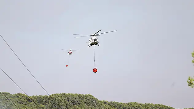 Alanya'daki orman yangını kontrol altına alındı
