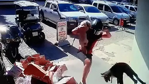 Alanya'da hayvana eziyet cezasız kalmadı