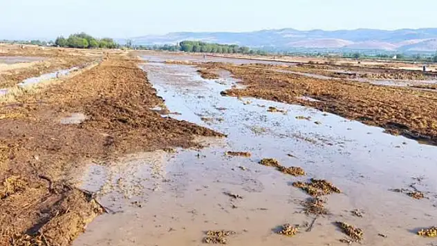 Alaşehir'de sağanak kurumaya bırakılan üzümlere zarar verdi

