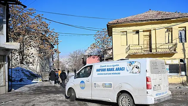 Altındağ'da sahipsiz köpeklerin saldırdığı çocuğun tedavisi sürüyor