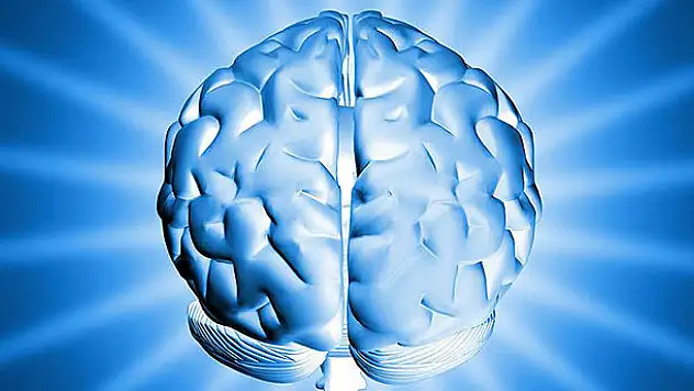 Alzheimer'a neden olan plakları temizleyen molekül bulundu