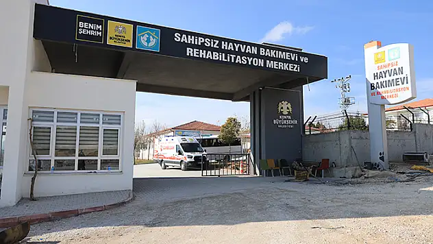 Amaç üzüm yemek mi yoksa bağcıyı dövmek mi?
