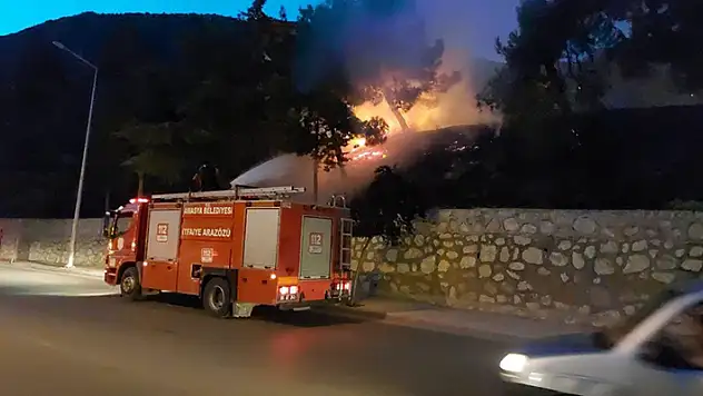 Amasya'da çıkan orman yangını söndürüldü

