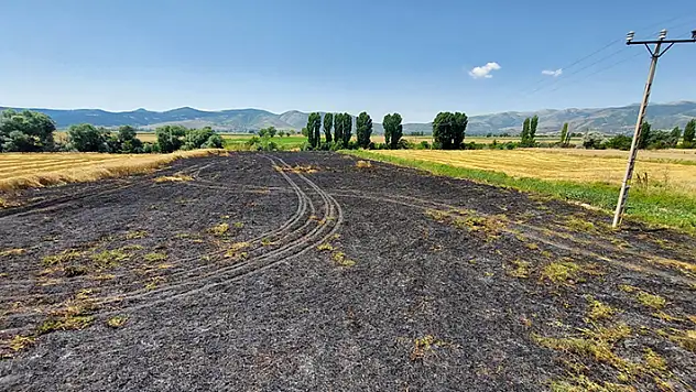 Amasya'da çıkan yangında 4 dönüm buğday ekili alan yandı
