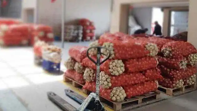 Amasya Sebze ve Meyve Hali'ndeki dükkanlar satışa çıkarıldı
