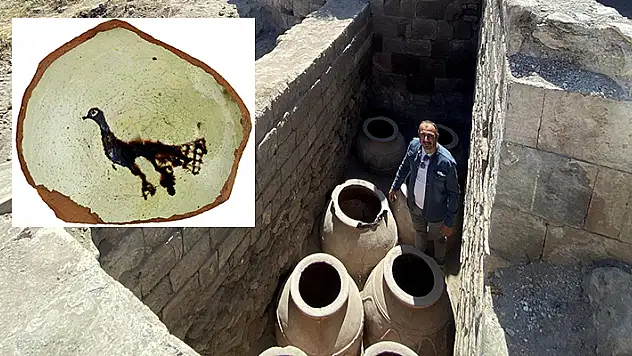 Ani Örenyeri'ndeki kazıda Büyük Selçuklu dönemine ait erzak deposu ortaya çıkarıldı
