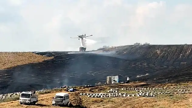 Anız yangını arı kovanlarına zarar verdi
