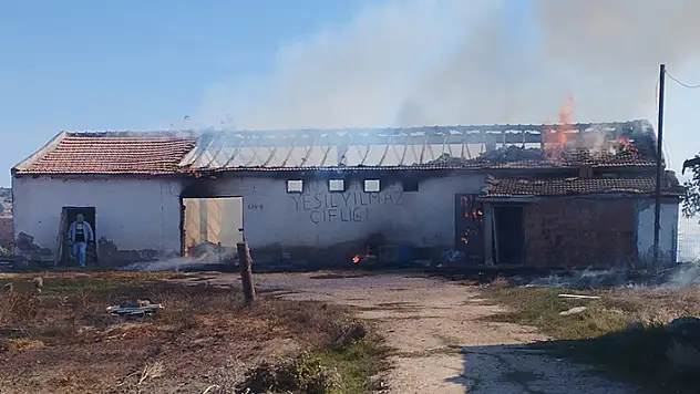 Anız yangını depoya sıçradı, 15 ton buğday ve 500 saman balyası kül oldu
