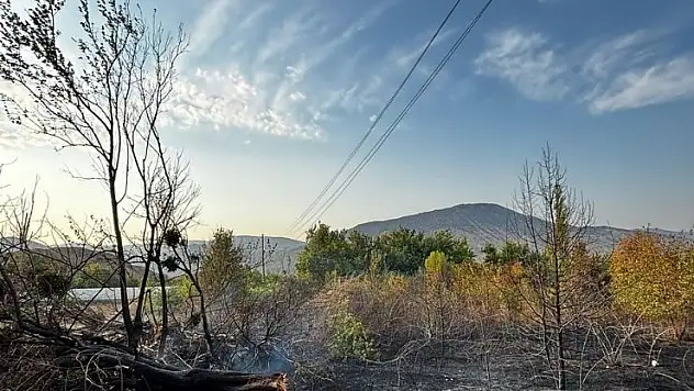 Anız yangınına itfaiye ekipleri müdahale etti