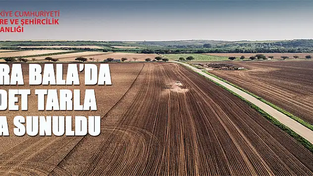 Ankara Bala'da 110 adet tarla satışa çıkarıldı
