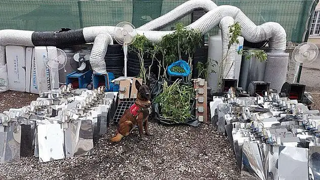 Ankara'da 10 kilo esrar ele geçirildi, 1 kişi gözaltına alındı