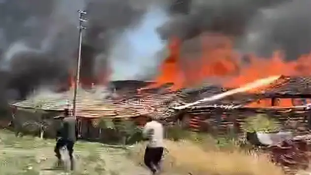 Ankara'da ahır yangını 12 büyükbaş öldü
