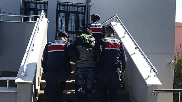 Ankara'da çalınan hayvanlar Konya'da bulundu! Hırsızlık şüphelisi tutuklandı