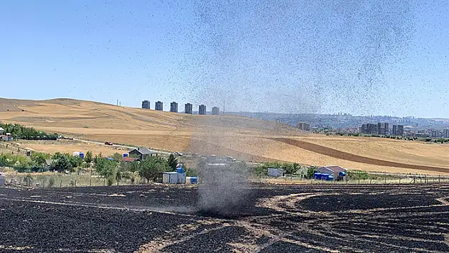 Ankara'da ekili 100 dönüm arpa ve buğday yandı
