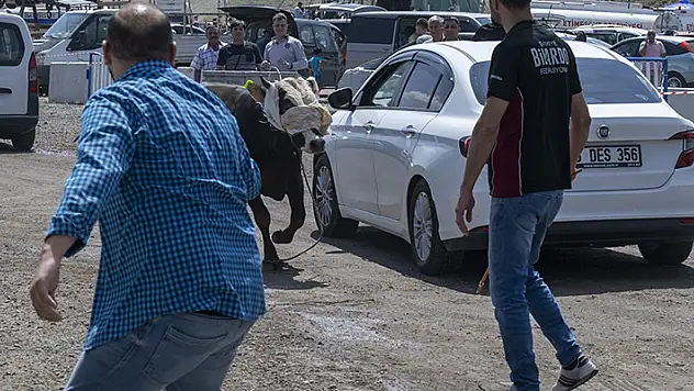 Ankara'da kurban pazarında kaçan boğa çevredekilere zor anlar yaşattı
