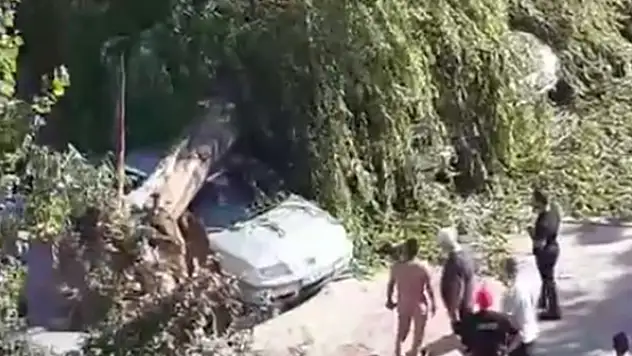 Ankara'da kuvvetli rüzgar ağaç devrildi, 4 araç hasar gördü
