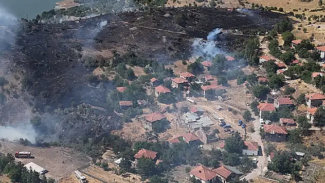 Ankara'da örtü yangınında 10 hektar alan zarar gördü
