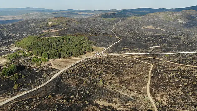Ankara'dan Bolu'ya sıçrayan yangın 22 saat sonra kontrol altına alındı
