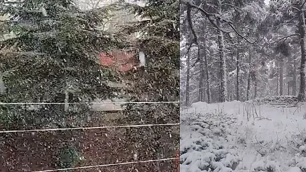 Ankara'ya mevsimin ilk karı yağdı

