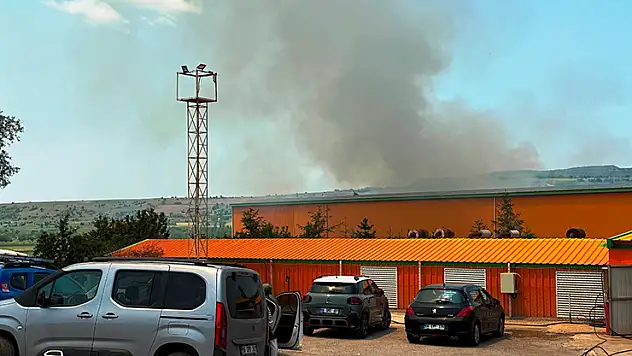 Ankara'da yumurta tesisinde yangın 150 bin tavuk öldü
