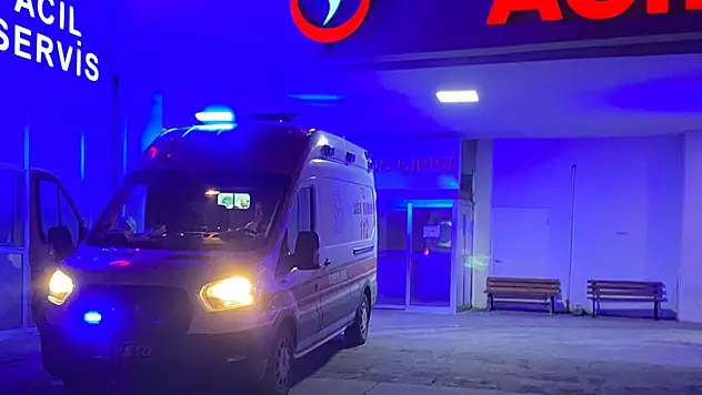 Ankara'nın Çubuk ilçesinde köpeklerin saldırısına uğrayan iki çocuk yaralandı